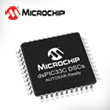 2211p110-microchip.jpg