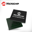 2302p110-microchip.jpg