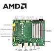 2401p110-amd.jpg
